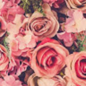 Meet your Posher, Hailey